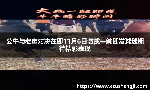 公牛与老鹰对决在即11月6日激战一触即发球迷期待精彩表现